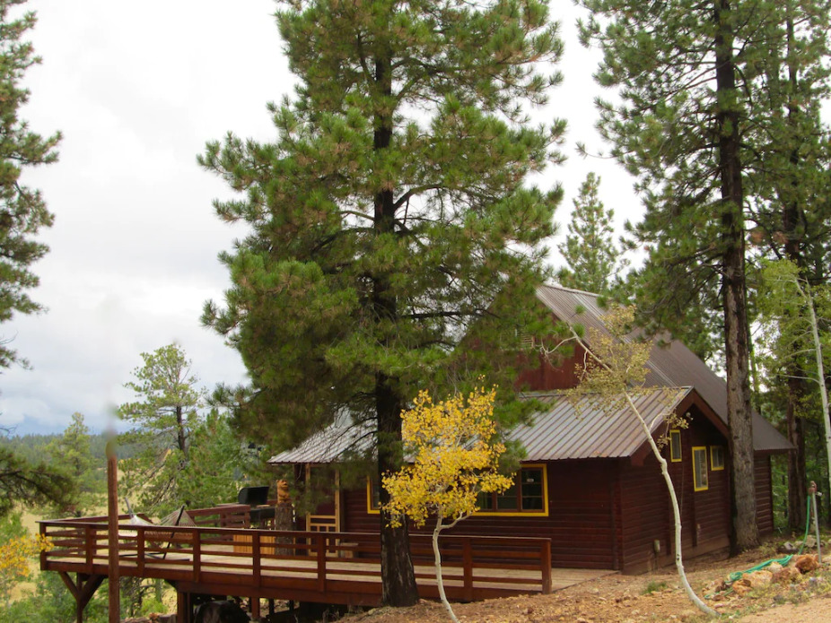 Family & Pet-friendly Cabin with Amazing View
